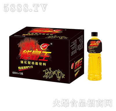 能量王強(qiáng)化型功能飲料600mlx15瓶