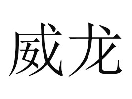 湛江市威龍食品有限公司