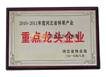 2011龍頭企業(yè)