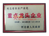 2012龍頭企業(yè)