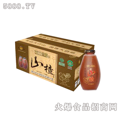 木糖醇山楂汁飲料480mlX12瓶