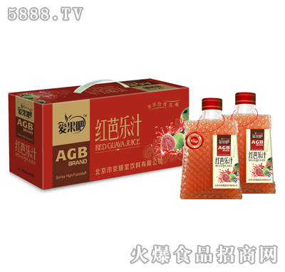 寶塔方瓶紅芭樂300ml×10瓶