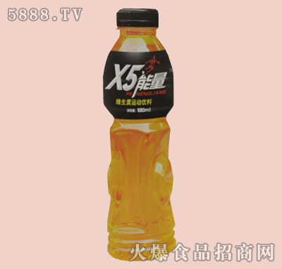 X5能量運(yùn)動(dòng)飲料580ml