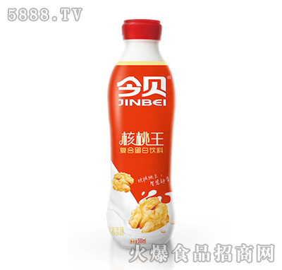 今貝核桃王復(fù)合蛋白飲料500ml