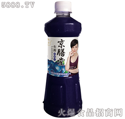 京膳堂生榨藍(lán)莓汁480ml