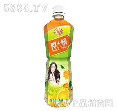 一枝筆梨+橙508ml