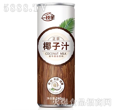 一枝筆椰子汁240ml