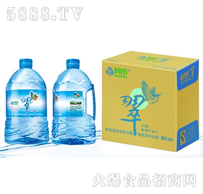 潤田翠天然含硒礦泉水尊品壺裝箱