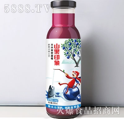 山果印象藍(lán)莓汁飲料280ml