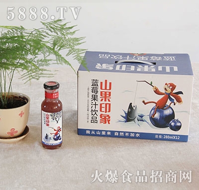 山果印象藍(lán)莓汁飲料280mlx12瓶