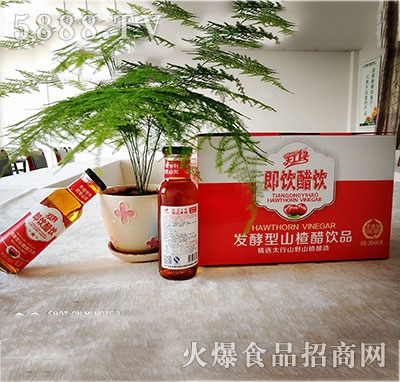 天工一號(hào)發(fā)酵型山楂醋飲料280mlx12瓶