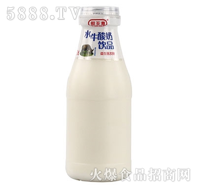 椰至尊水牛酸奶飲品270ml