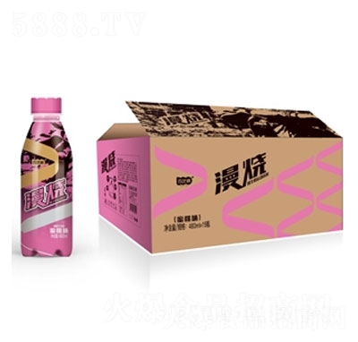 百芝源漫燒維生素運(yùn)動(dòng)飲料蜜桃味480ml×15瓶