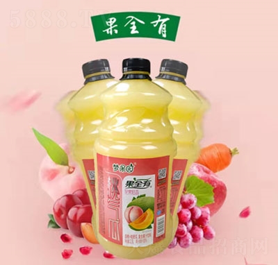 夢(mèng)果園白桃+哈密瓜復(fù)合果汁飲料（瓶）