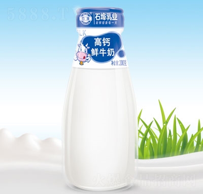 石埠乳業(yè)高鈣鮮牛奶玻璃瓶牛奶