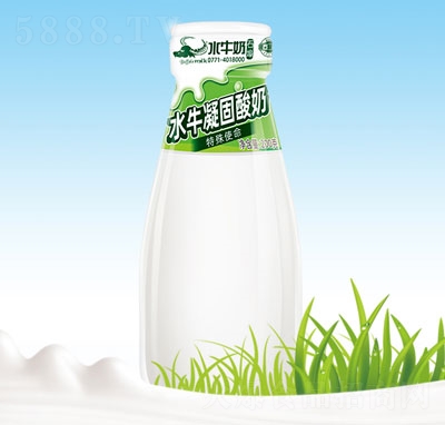 石埠乳業(yè)水牛凝固酸奶玻璃瓶牛奶