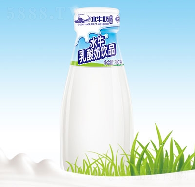 石埠乳業(yè)水牛乳酸奶飲品玻璃瓶牛奶