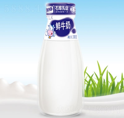 石埠乳業(yè)鮮牛奶玻璃瓶牛奶