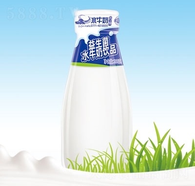 石埠乳業(yè)益生菌水牛奶飲品玻璃瓶牛奶