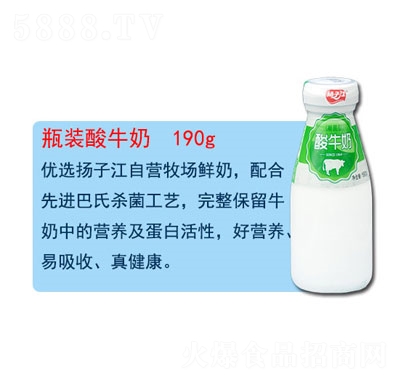 揚(yáng)子江瓶裝酸牛奶酸奶招商