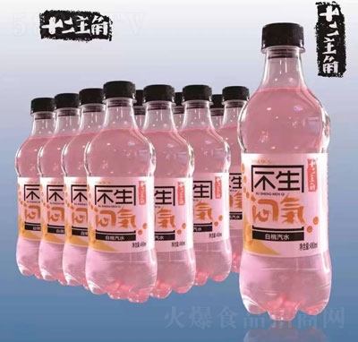 ʮǰˮ̼480ml