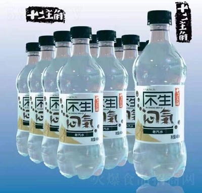 ʮˮ̼480ml