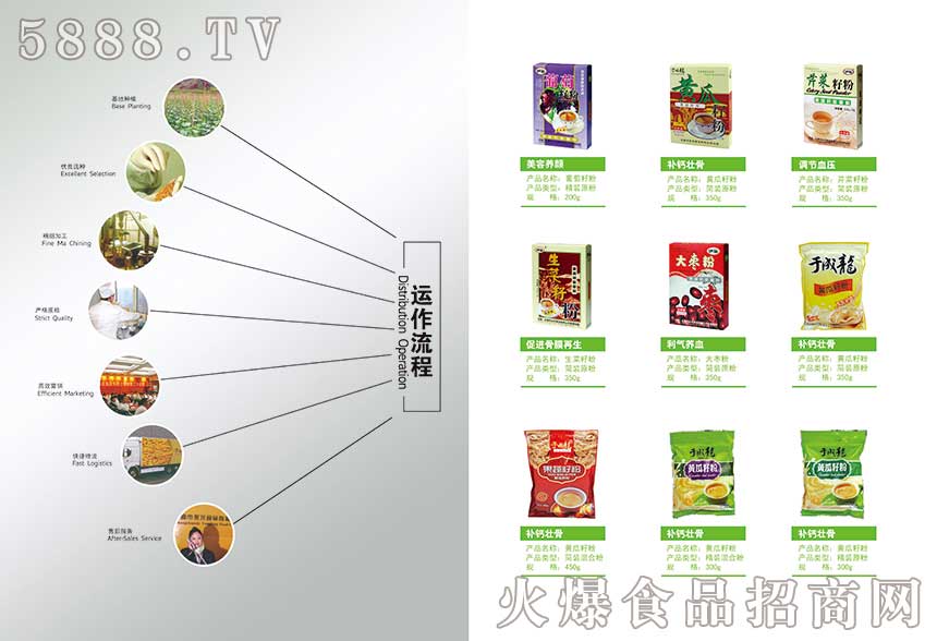 永龍食品招商彩頁